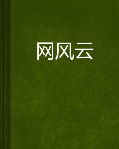 网风云