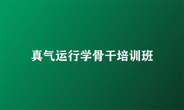 真气运行学骨干培训班