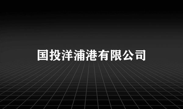 国投洋浦港有限公司