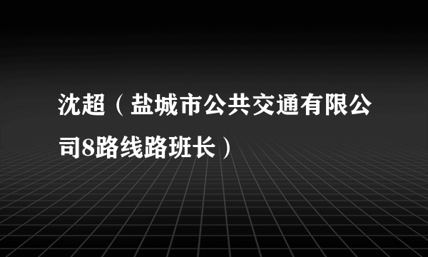 沈超（盐城市公共交通有限公司8路线路班长）