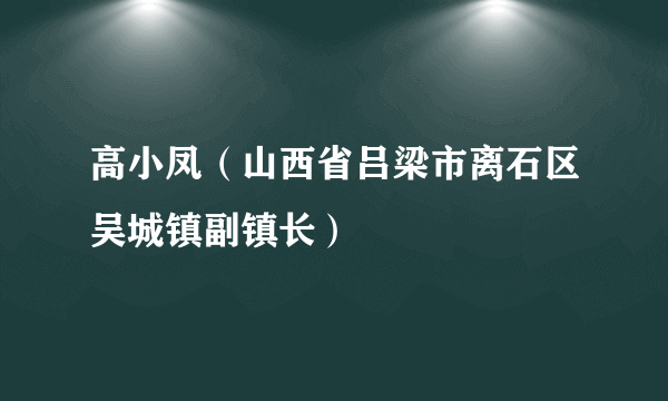 高小凤（山西省吕梁市离石区吴城镇副镇长）