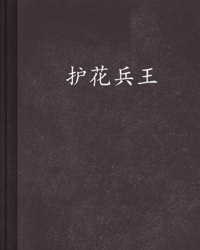 护花兵王（军用刺刀作品，看书网）