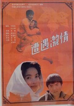 遭遇激情（中国大陆1991年夏钢执导电影）