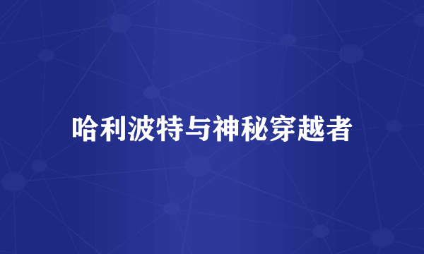 哈利波特与神秘穿越者