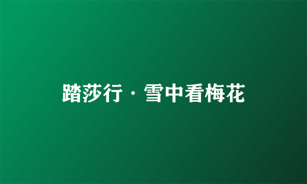 踏莎行·雪中看梅花
