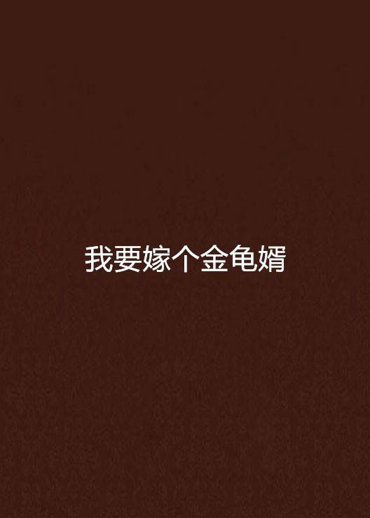我要嫁个金龟婿