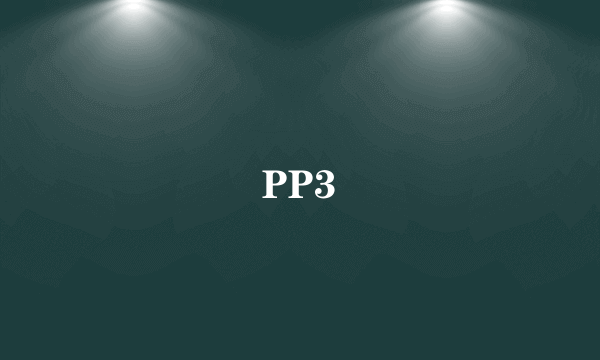 PP3