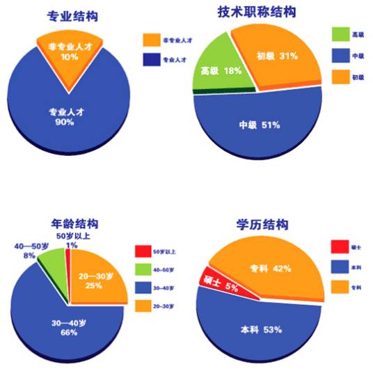 人才结构