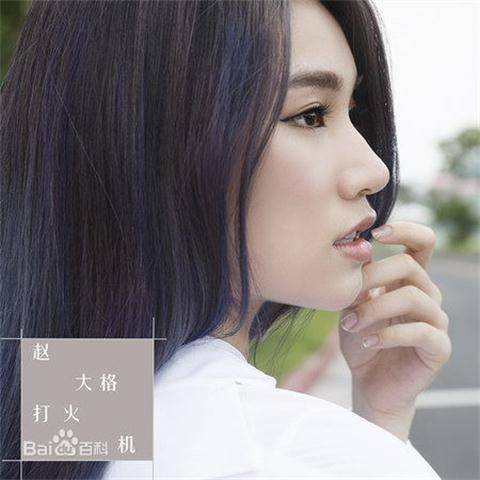 打火机（赵大格演唱歌曲）