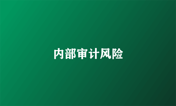 内部审计风险