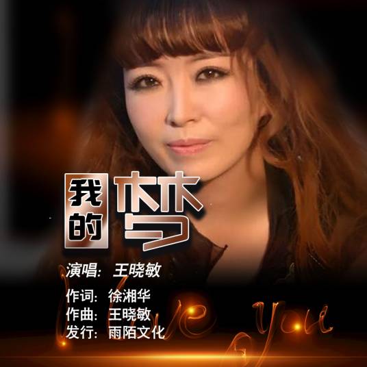 我的梦（王晓敏演唱歌曲）