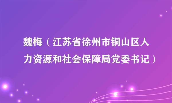 魏梅（江苏省徐州市铜山区人力资源和社会保障局党委书记）