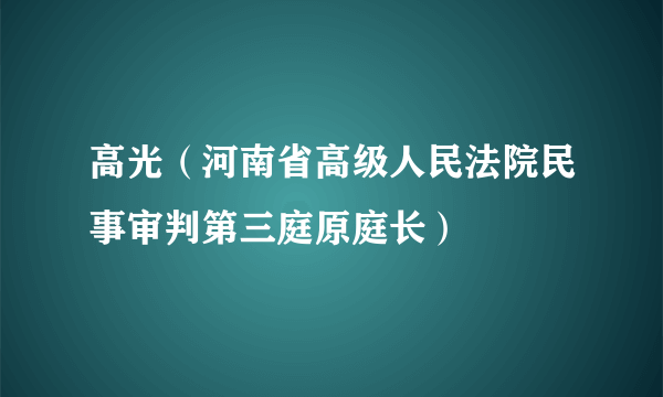 高光（河南省高级人民法院民事审判第三庭原庭长）