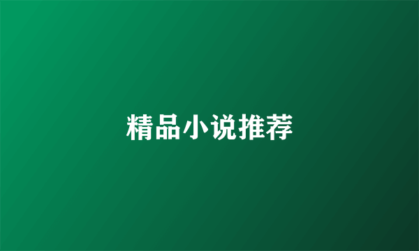 精品小说推荐