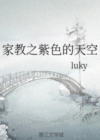 家教之紫色的天空