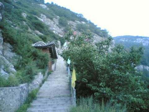 禹王洞国家森林公园
