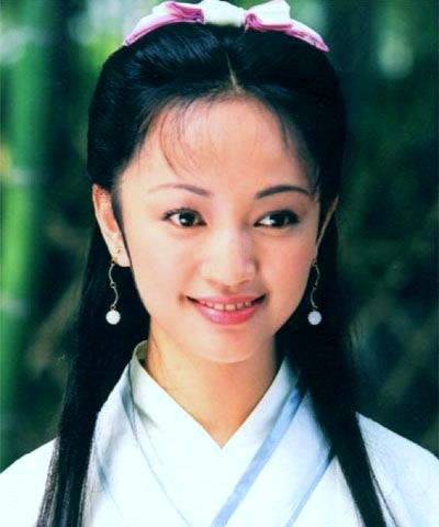 岳小钗（小说《金剑雕翎》和《岳小钗》中的角色）