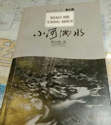 小河淌水（2008年云南人民出版社出版的图书）