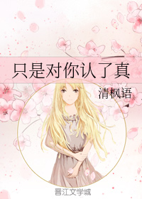 只是对你认了真