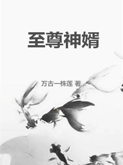 至尊神婿（17K小说网）