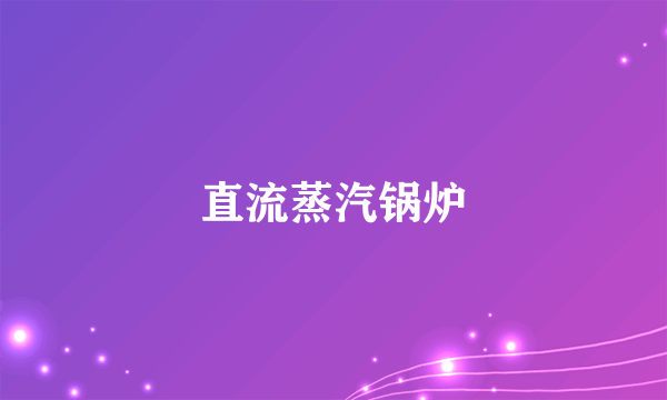 直流蒸汽锅炉