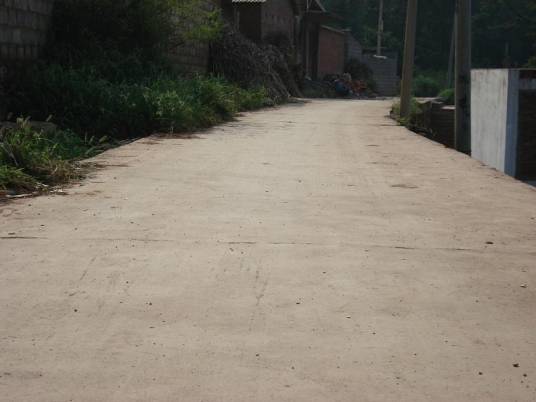 黑桃树村