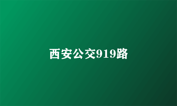 西安公交919路