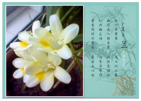卜算子·兰