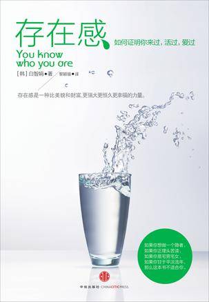 存在感（2013年中信出版社出版的图书）
