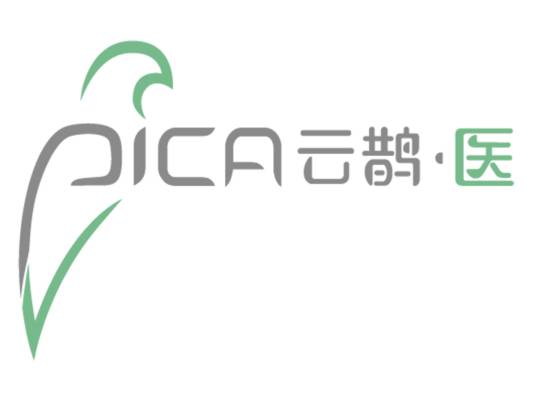 云鹊医疗科技（上海）有限公司