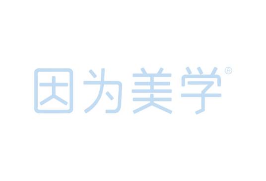 因为美学