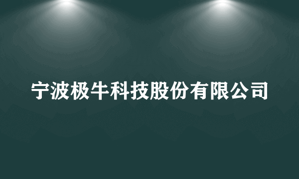 宁波极牛科技股份有限公司