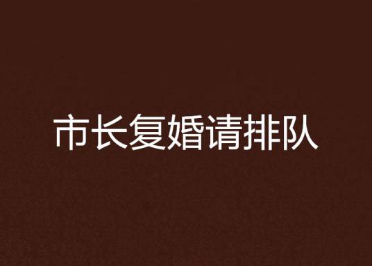 市长复婚请排队