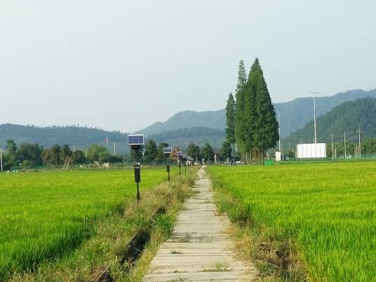 病虫害绿色防控