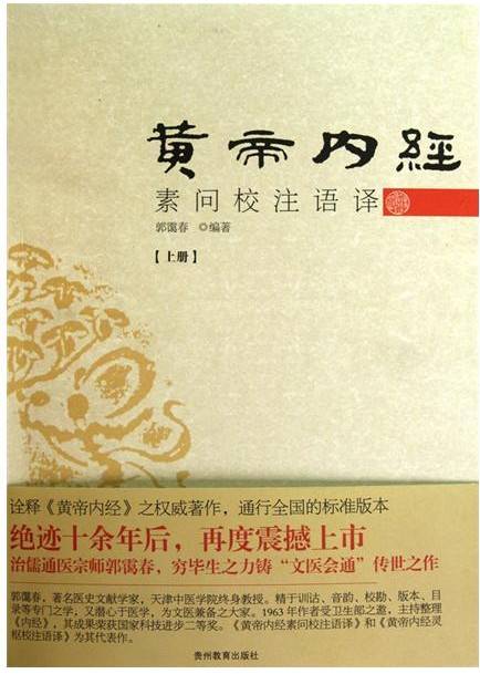 《黄帝内经素问注》序