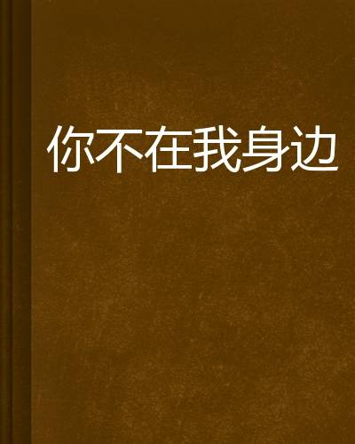 你不在我身边（小说）