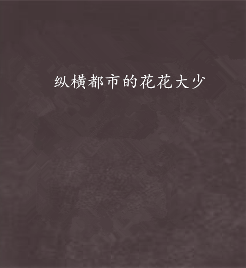纵横都市的花花大少