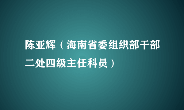 陈亚辉（海南省委组织部干部二处四级主任科员）