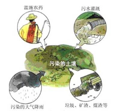 微生物污染