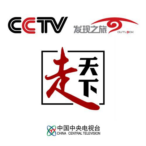 走天下（央视节目）
