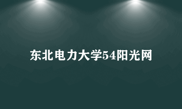 东北电力大学54阳光网