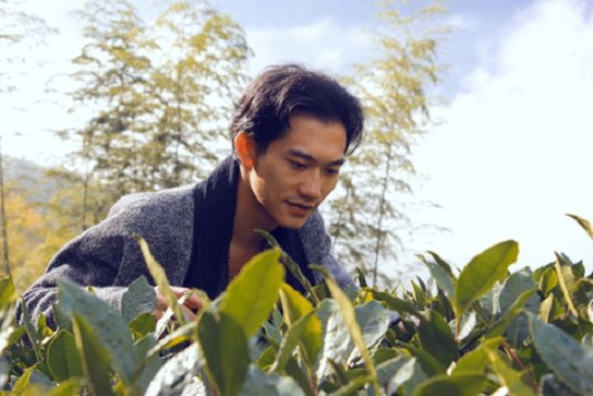 天使之泪（田七导演歌曲）