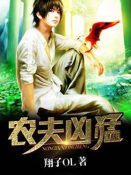 农夫凶猛（2016年百度小说翔子OL著）
