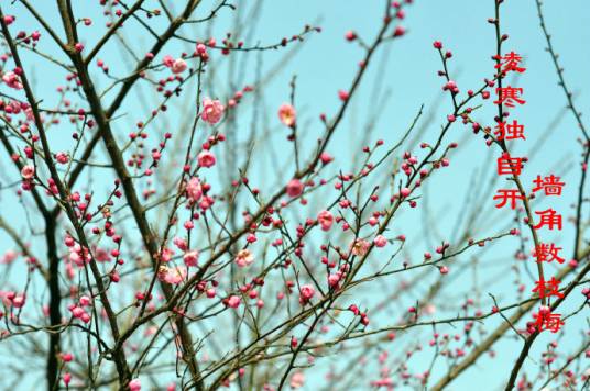 冬月(农历十一月别称)