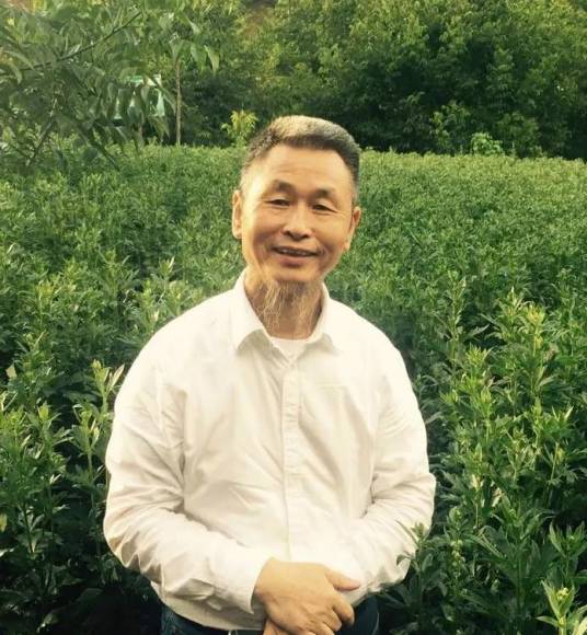 刘力红（广西中医药大学基础医学院教授）