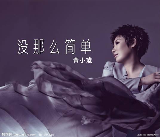 没那么简单（黄小琥演唱的歌曲）