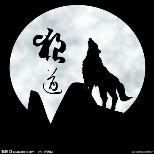 狼道(2006年中国和平出版社出版的图书)