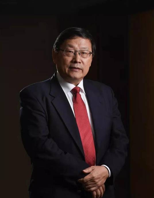 王巍（德国考古研究院通讯院士、中国社会科学院学部委员、考古学家、中国社会科学院考古研究所研究员）