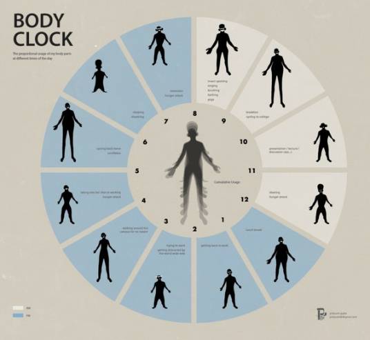生物钟(生理机制)