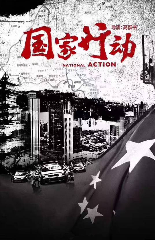 国家行动（高群书、常猛执导的犯罪剧）